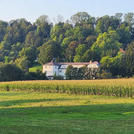 Hotel European House Of Yoga Light Bezdekov (Pardubice)